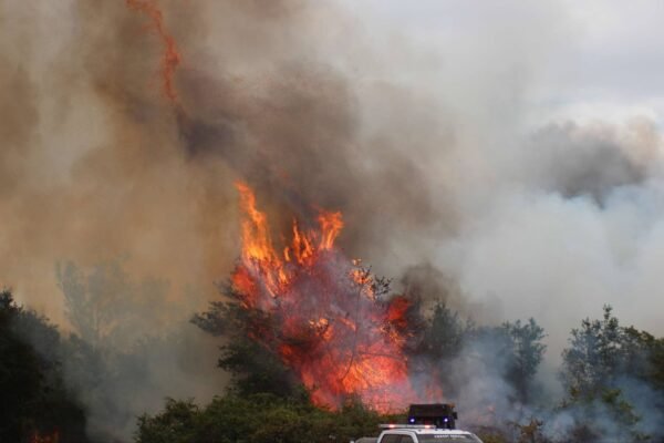 Polk County Fire Rescue Battles 25-Acre Brush Fire at Bonnie Mine Road