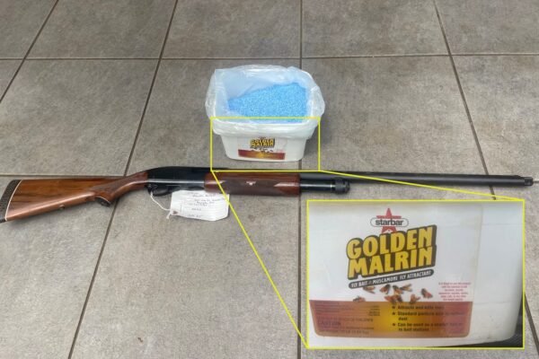 Florida Fisherman Sentenced to 30 Days for Poisoning & Shooting Dolphins