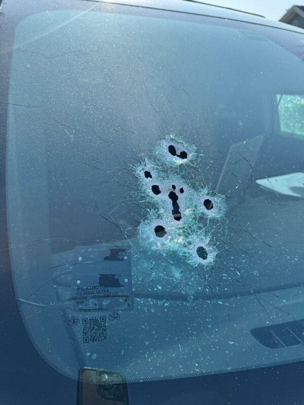 Breaking: Suspect Attacked by Alligator, Jumps into Deputy’s Car, Shot & Killed on Memorial Day: PCSO