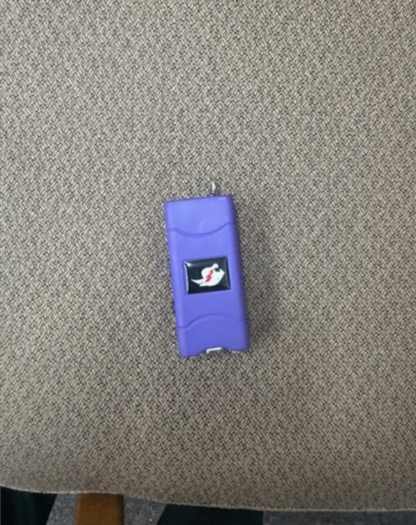 High School Student Arrested for Bringing Stun Gun to Campus
