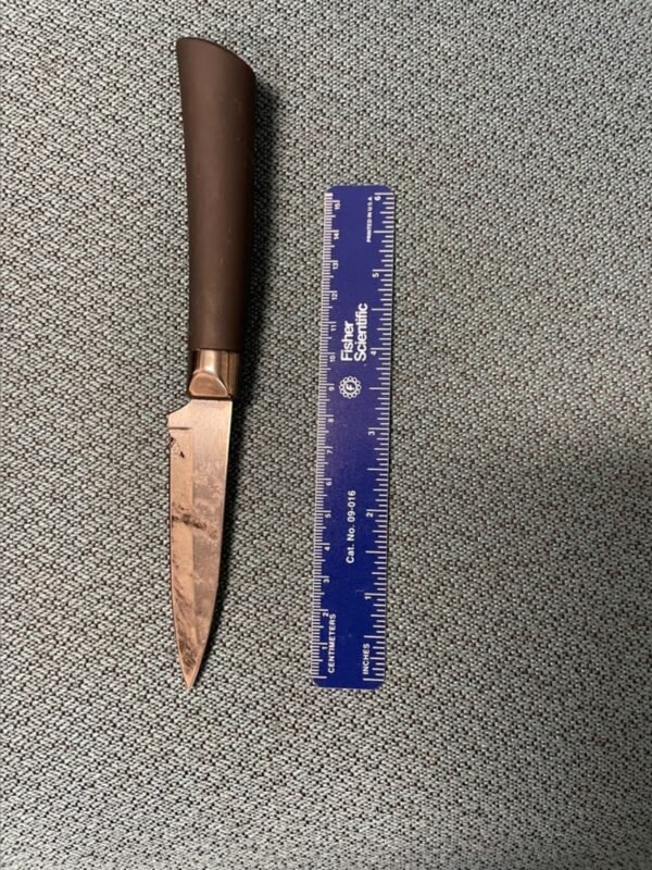 13-Year-Old Student Arrested for Bringing Knife to Middle School: HCSO