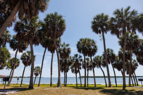 St. Petersburg #1 in Florida, #14 Nationwide for Top-Ranked Park System in 2025 ParkScore Index