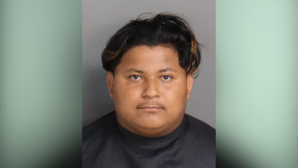 ** Missing 12-Year-Old from Plant City Found in South Carolina with Man She Met Online **