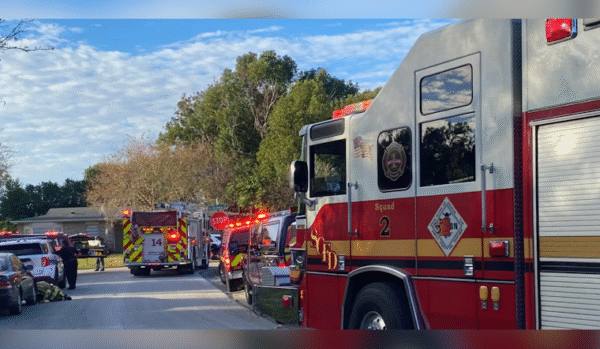 9 Dogs Die in Shed Fire Early This Morning: Seminole County Fire Dept. Reports