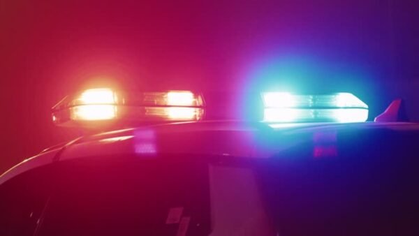 Florida Woman Fatally Struck by Trailer While Running Alongside Vehicle on NW 19th Street