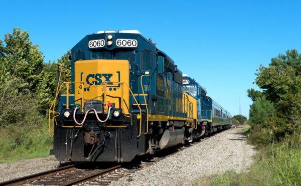 Train vs. Pedestrian Fatality: Tampa Police Investigate