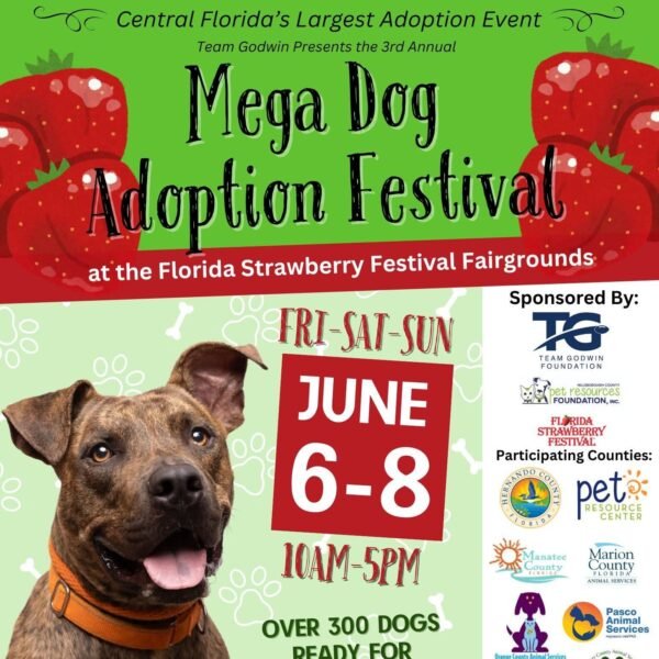 300+ Dogs Up for Adoption at Mega Event in Plant City