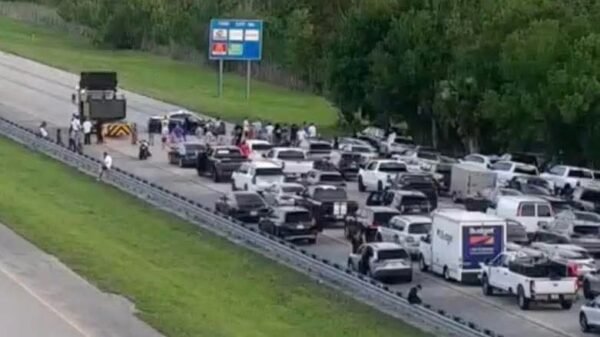 77-Year-Old Vermont Man Killed While Saving Turtle on I-95 South: FHP Reports