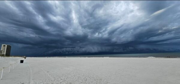 New York Man Found Unresponsive in Sand Key/Clearwater Pronounced Dead