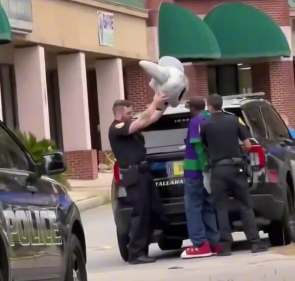 Tallahassee Police Arrest Chuck E. Cheese Employee on Felony Charges
