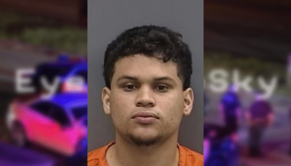 Suspect Arrested After Fleeing Fatal Riverview Crash, HCSO Reports