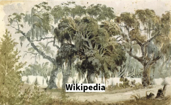 On This Day in Florida History – July 23, 1839: Seminole Warriors Ambush U.S. Forces Near Present-Day Fort Myers