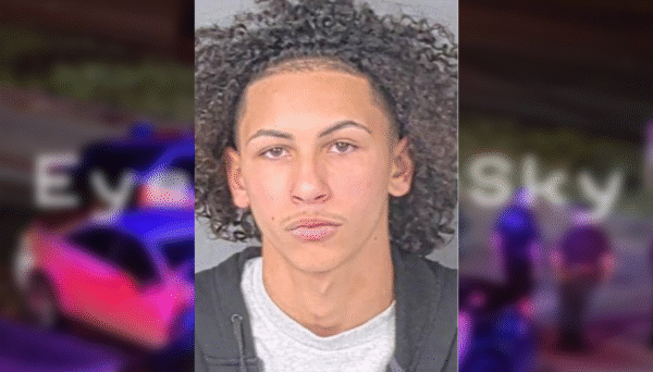 14-Year-Old Shot After Attempting to Steal Marijuana from Dealer; Suspect Arrested: HCSO