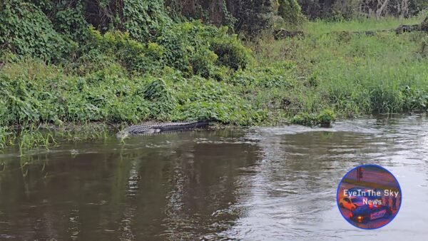 Florida Budget Allocates $1.4B for Everglades, Water Quality