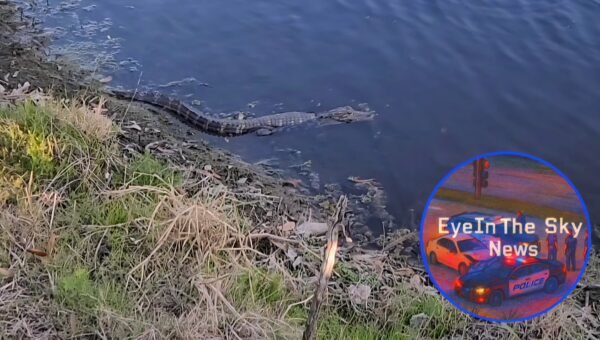 Blue-Green Algae Detected in Three Polk County Lakes