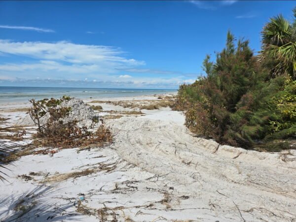 Unresponsive Man Pulled From The Water in Suspected Beach Drowning