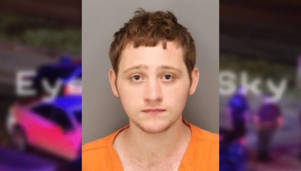 Man Arrested for Possession and Transmission of Child Pornography