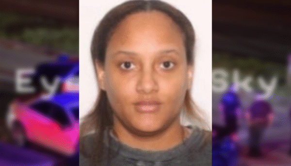 Woman Strikes Deputy with Vehicle, Flees Theft Scene with Unrestrained Daughter