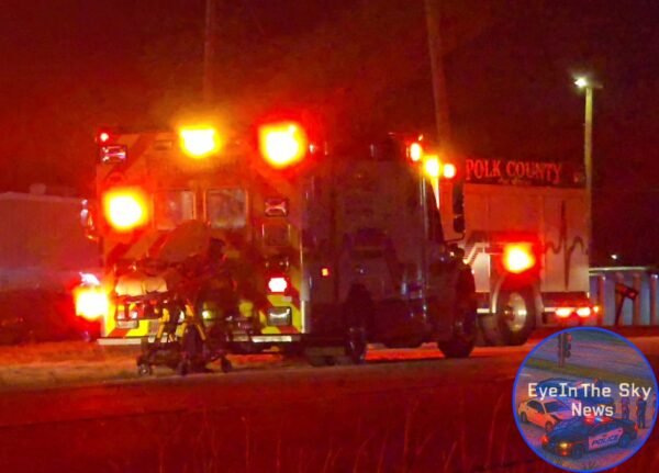 6-Year-Old Airlifted to Hospital After Dog Attack in Lakeland: PCSO