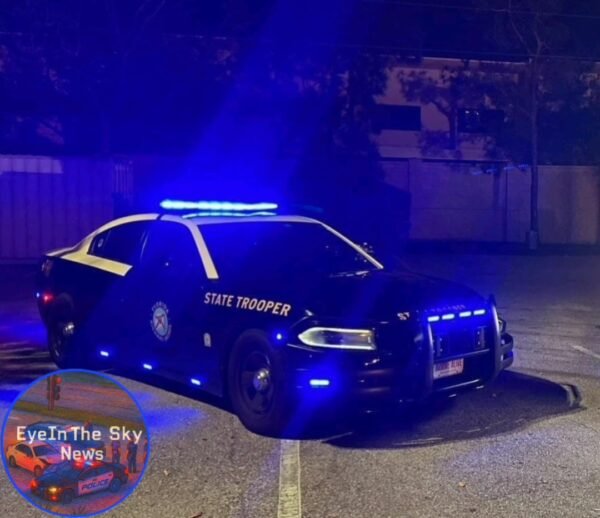 Florida Woman Exits Vehicle to Check on Injured Opossum, Fatally Struck: FHP