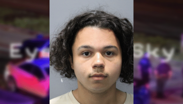 Tampa Teen Arrested For Murder: HCSO