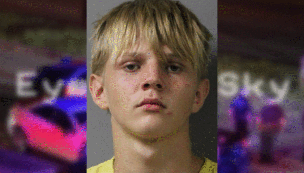 Lakeland Teen Arrested for Stealing Two Vehicles: PCSO