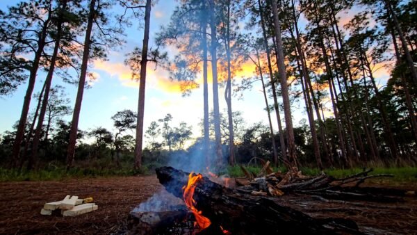 Lake Rosalie Park Campground to Reopen