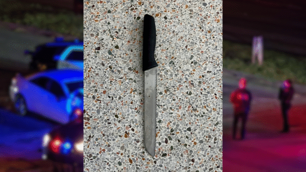 Pinellas Park Police Shoot and Kill Knife-Wielding Man at Short-Term Rental