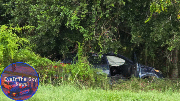 Fatal Crash: SUV Goes Airborne On I-4 After Driver Suffers Medical Emergency