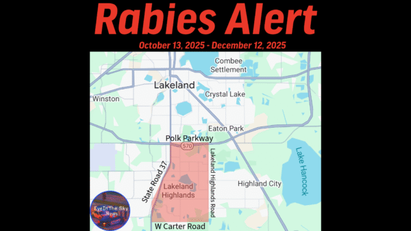 Polk County Issues 60-Day Rabies Alert After Stray Cat Tests Positive in South Lakeland