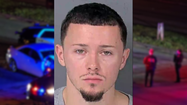 Florida Man Faces Felony Animal Cruelty Charge After Killing Girlfriend’s Kitten