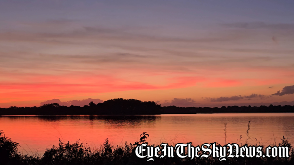 Florida Forever Project Acquires 74 Acres for Lake Wales Ridge Conservation and Recreation