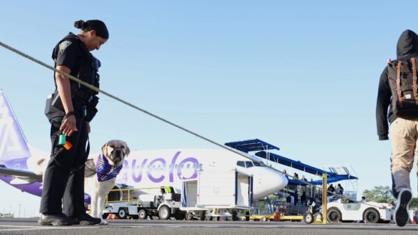 Avelo Launches Co-Branded Mastercard Featuring Free Bags, Priority Boarding, and More