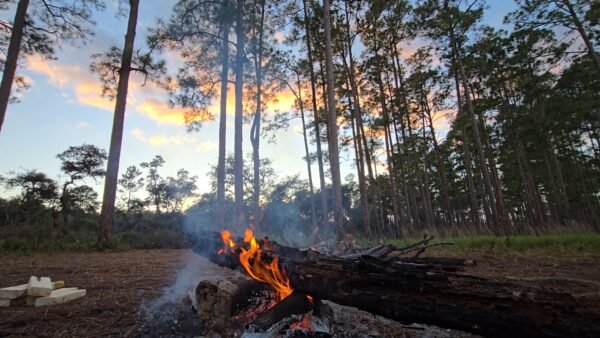 Florida DEP Highlights Key 2025 Environmental Accomplishments