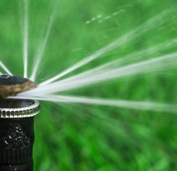 Polk County Enters One-Day-Per-Week Watering Restrictions Amid Severe Drought