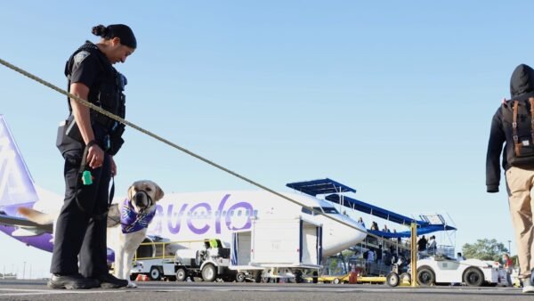 Avelo Airlines Launches Nonstop Seasonal Flights from Lakeland to Detroit and Restores Atlanta Service