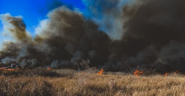 Bartow Brush Fire Burns 190 Acres, Prompts Road Closures