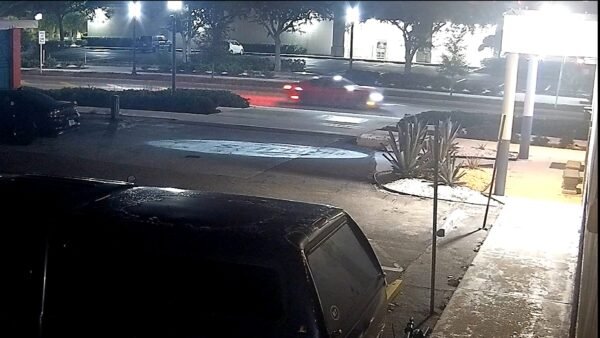 Clearwater Police Seek Driver in Fatal Hit-and-Run