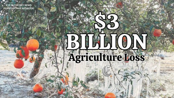Florida Agriculture Hit with Over $3.1 Billion in Freeze Losses