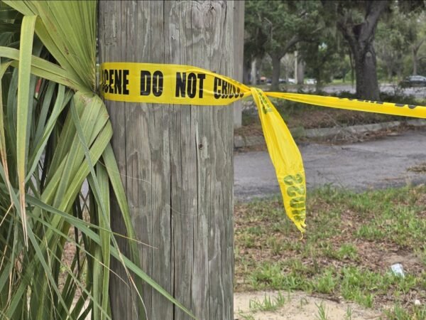 Winter Haven Woman Trampled to Death by Horses