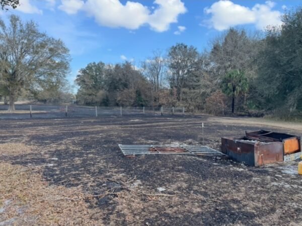 Bartow High School Teacher Arrested After Backyard Burn Spiral into 5-Acre Brush Fire Amid County Ban