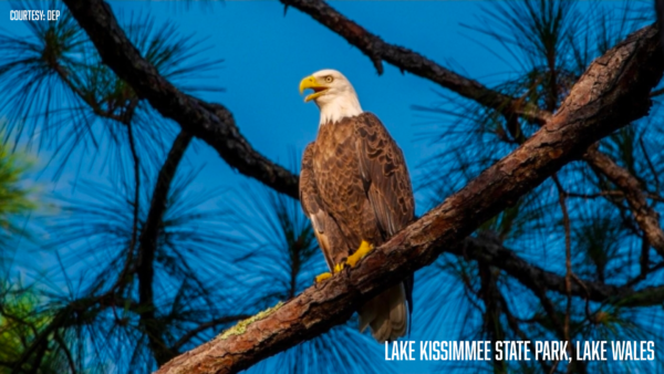 Florida State Parks Go Free for Presidents Day Weekend: Feb. 13–16