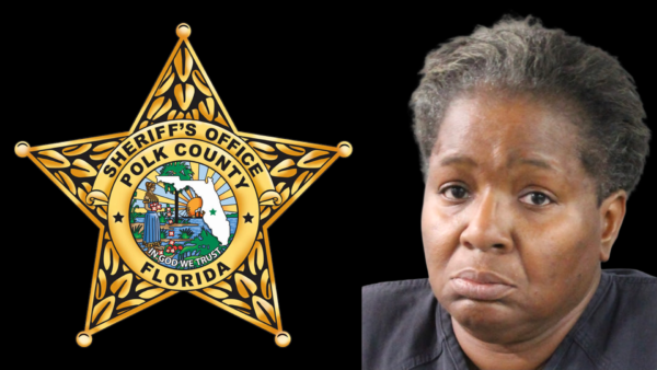 Lakeland Woman Arrested for Impersonating DCF Employee