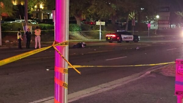 Motorcyclist, 23, Killed in Head-On Crash in Winter Haven