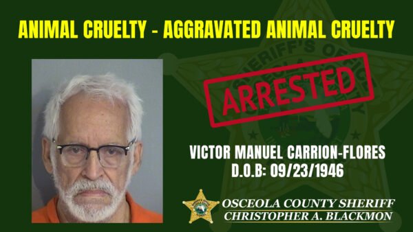 Kissimmee Man, 79, Arrested for Felony Cruelty After Dumping Skull-Fractured Dog in Dumpster