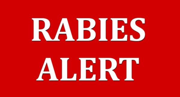 Second Rabies Case Reported in Polk County in Two Weeks