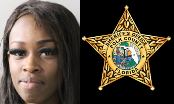 Polk County Woman Arrested After Striking Sheriff’s Patrol Vehicle During Pursuit