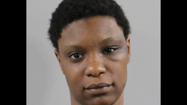 Winter Haven Woman Faces Multiple Felony Charges After Violent Domestic Incident