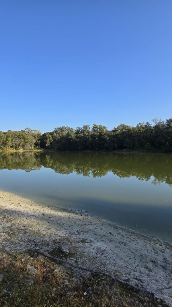 Health Officials Warn of Blue-Green Algae Bloom at Lake Hamilton East – Sample Park