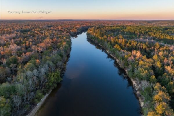 Florida DEP Secures 10,023 Acres in Gulf County for Conservation Easement